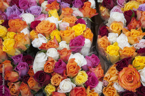 Colored Roses on Sale in Market, Bonn