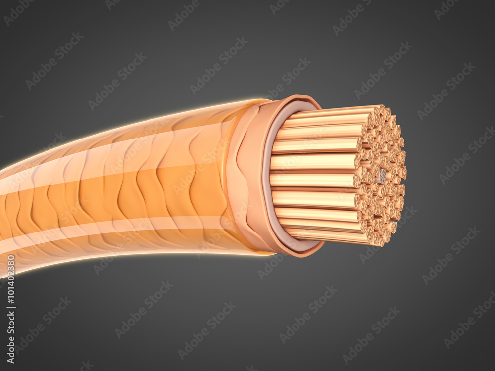 Fotografie Geschädigtes Haar reparieren: Querschnitt 3D-Illustration