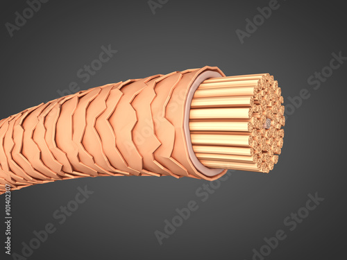Fototapeta Naklejka Na Ścianę i Meble -  Geschädigtes Haar reparieren: Querschnitt 3D-Illustration
