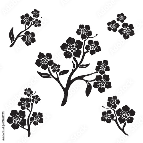 Forget-me-not (myosotis) graphic flowers