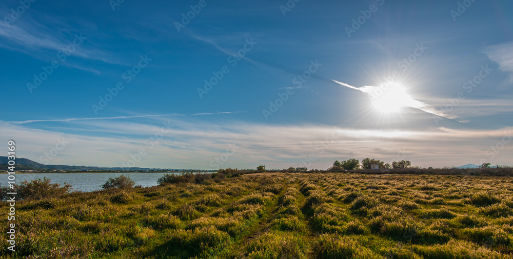 landscape close to a lake with some grass and trees close to the sunset