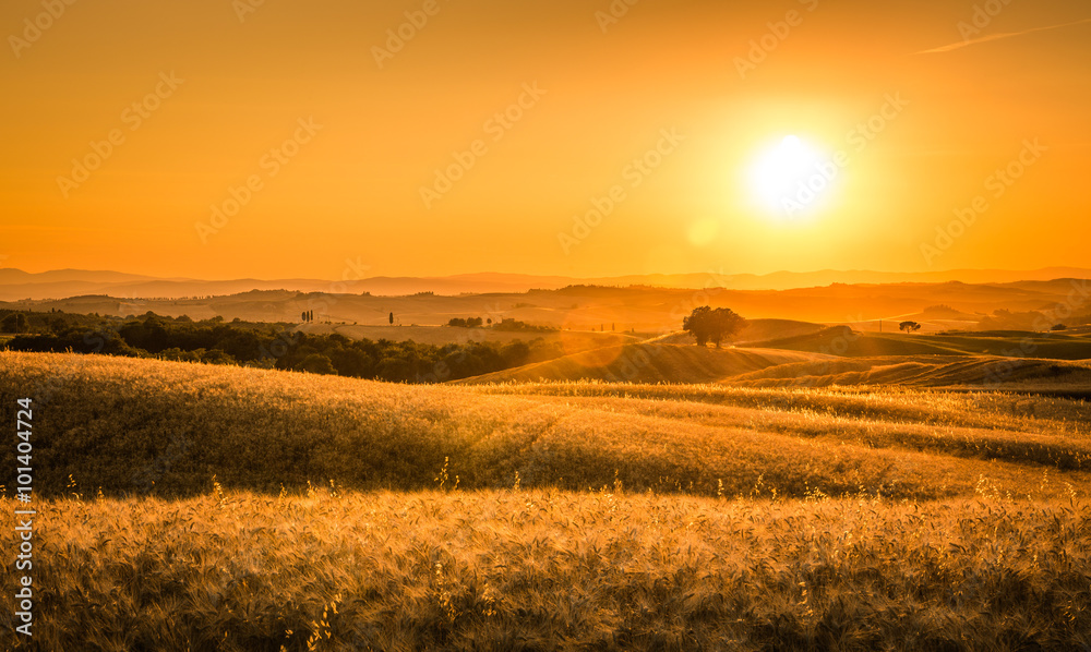 Obraz premium Golden tuscan sunset
