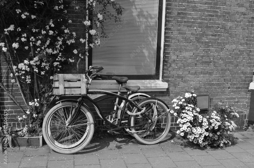 Fototapeta Amsterodam