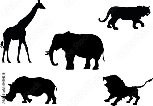 Fototapeta Naklejka Na Ścianę i Meble -  African animals