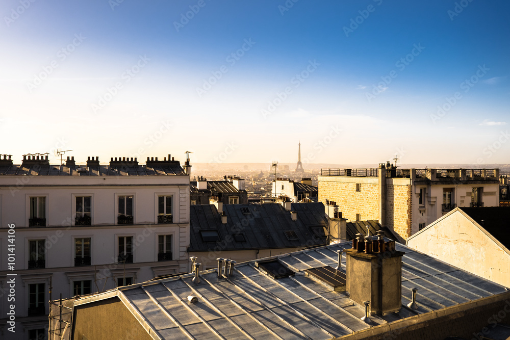 Over The Roofs Of Paris