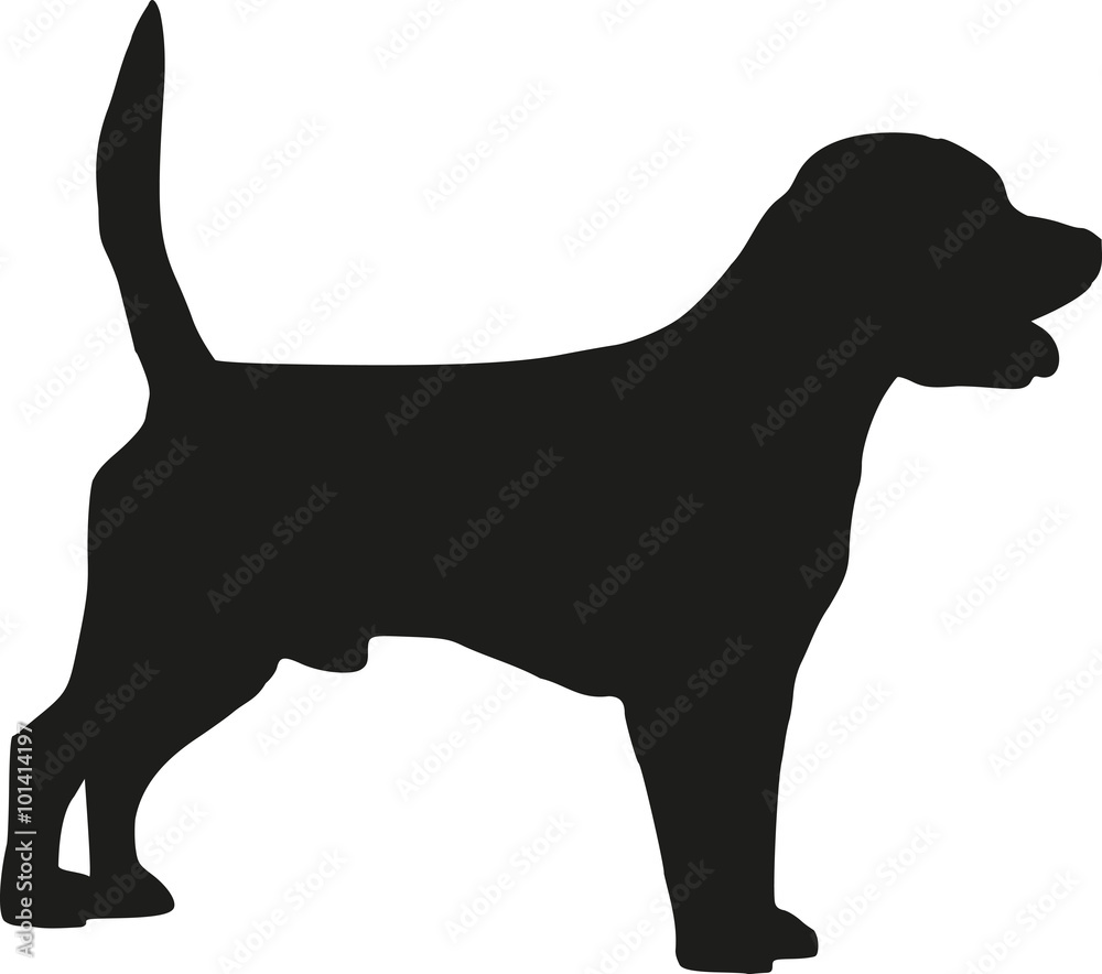 Beagle dog silhouette