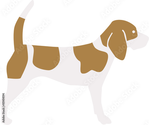 Beagle vector