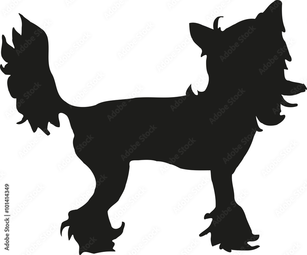 Chinese crested silhouette