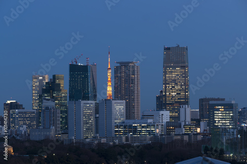 東京都市風景　東京タワー　と高層ビル群　六本木　夜景