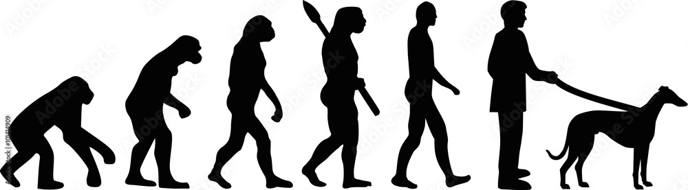 Greyhound evolution Greyhound evolution