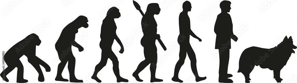 Herding evolution Herding evolution