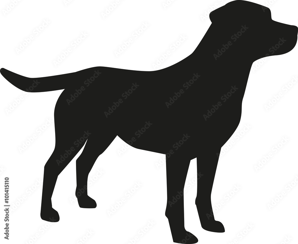 Labrador Retriever silhouette