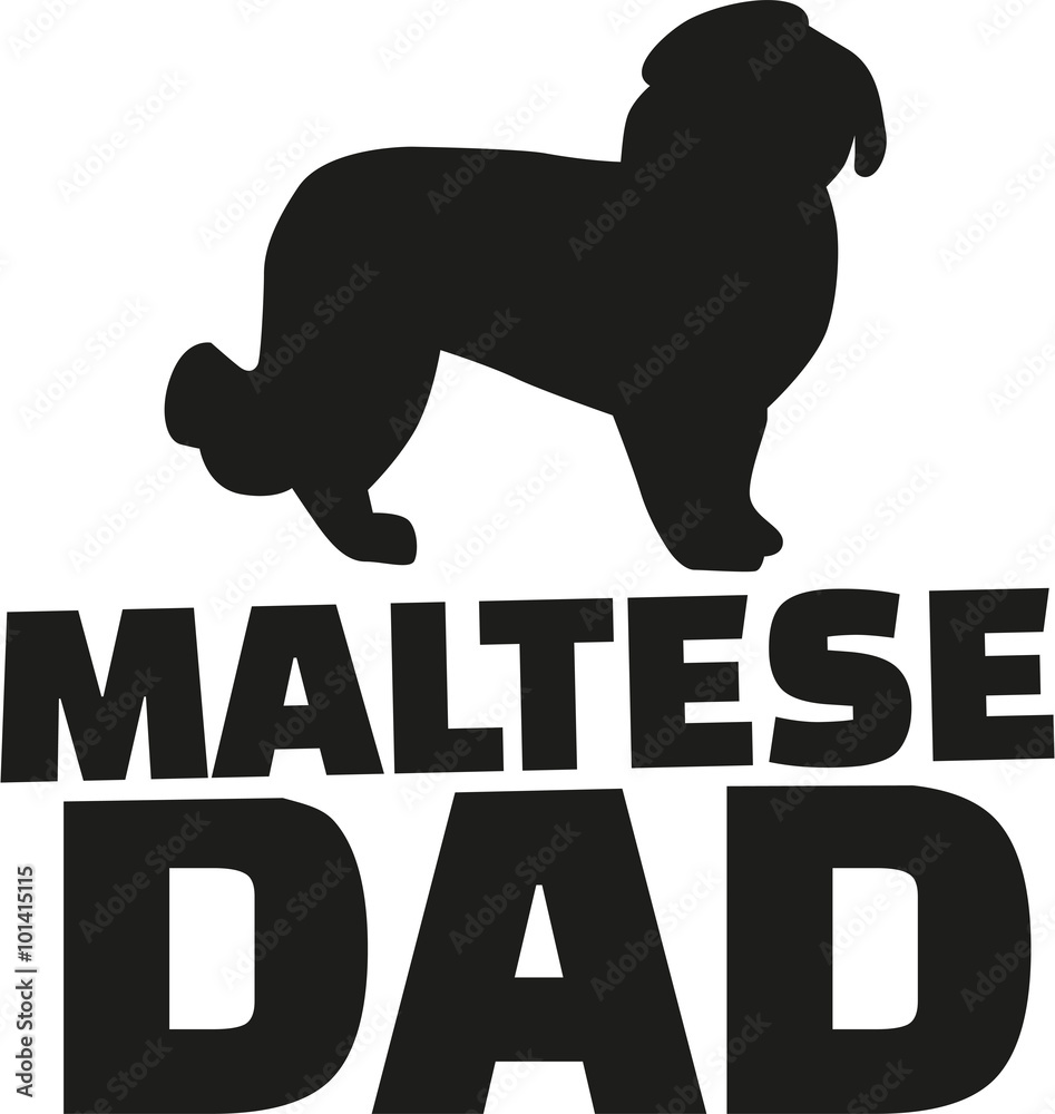 Maltese dog dad
