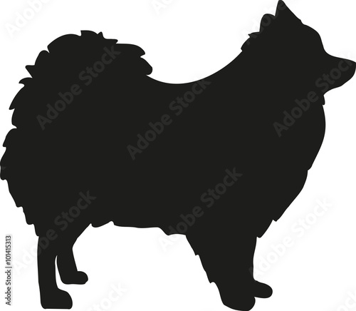 Pomeranian silhouette photo