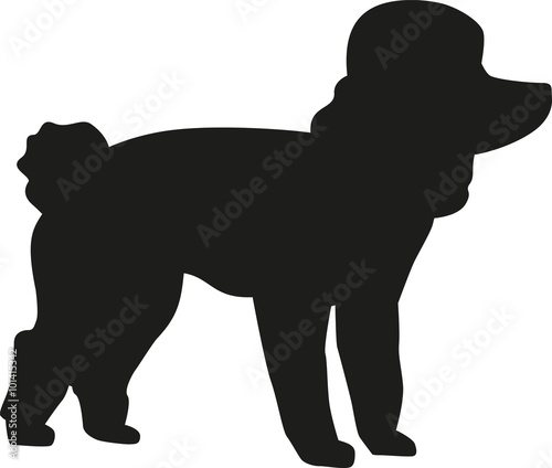 Poodle dog silhouette