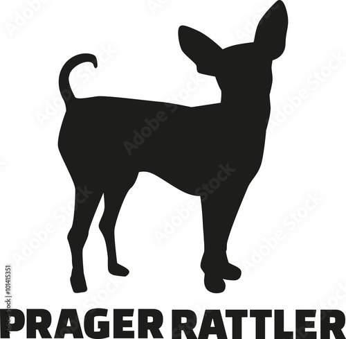 Prague ratter with german breed name