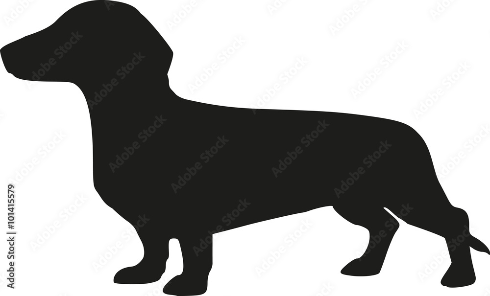 Silhouette of a dachshund