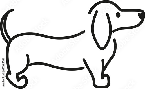 Dachshund handdrawn