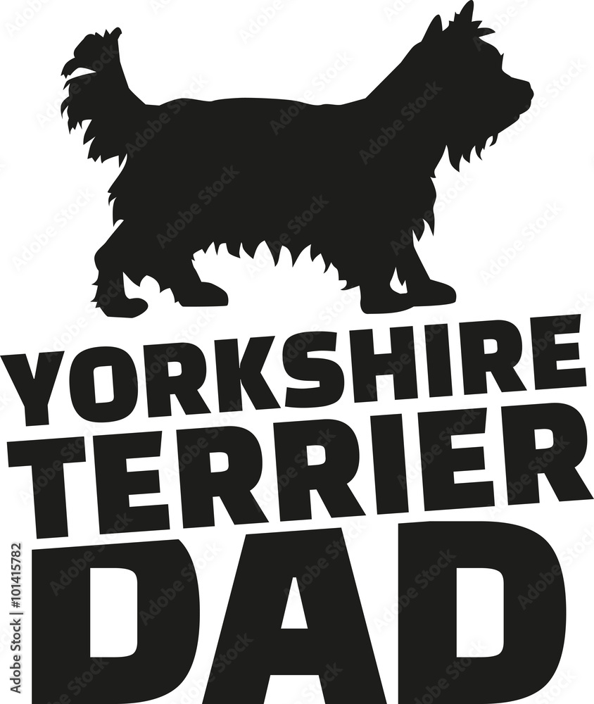 Yorkshire Terrier dad