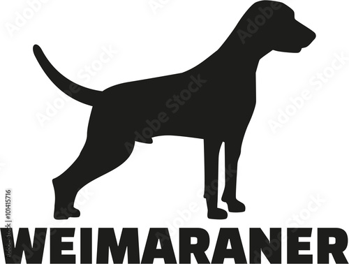 Weimaraner with breed name