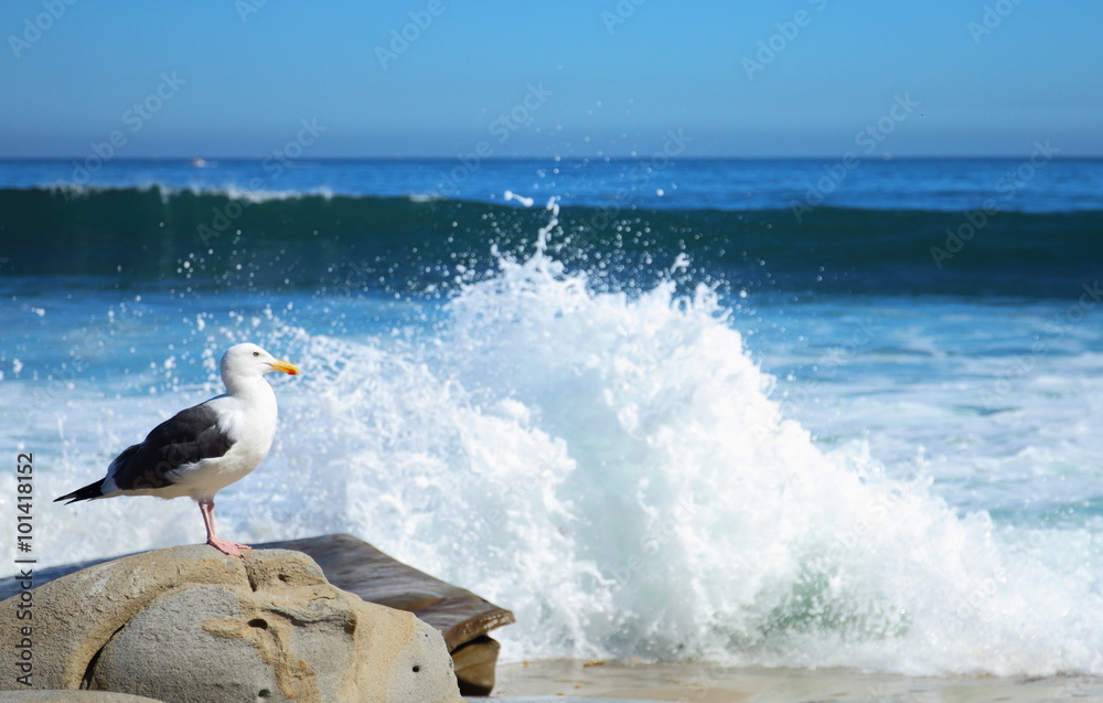 Obraz premium Seagull standing on rocks as wave crash at the beach