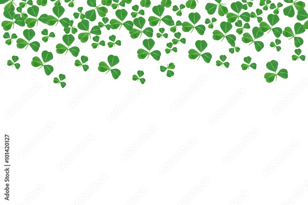 St Patricks Day top border of shamrocks over a white background St Patricks Day top border of shamrocks over a white background