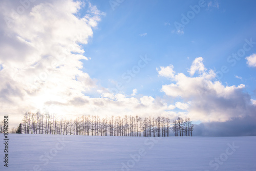 冬の北海道・美瑛の風景