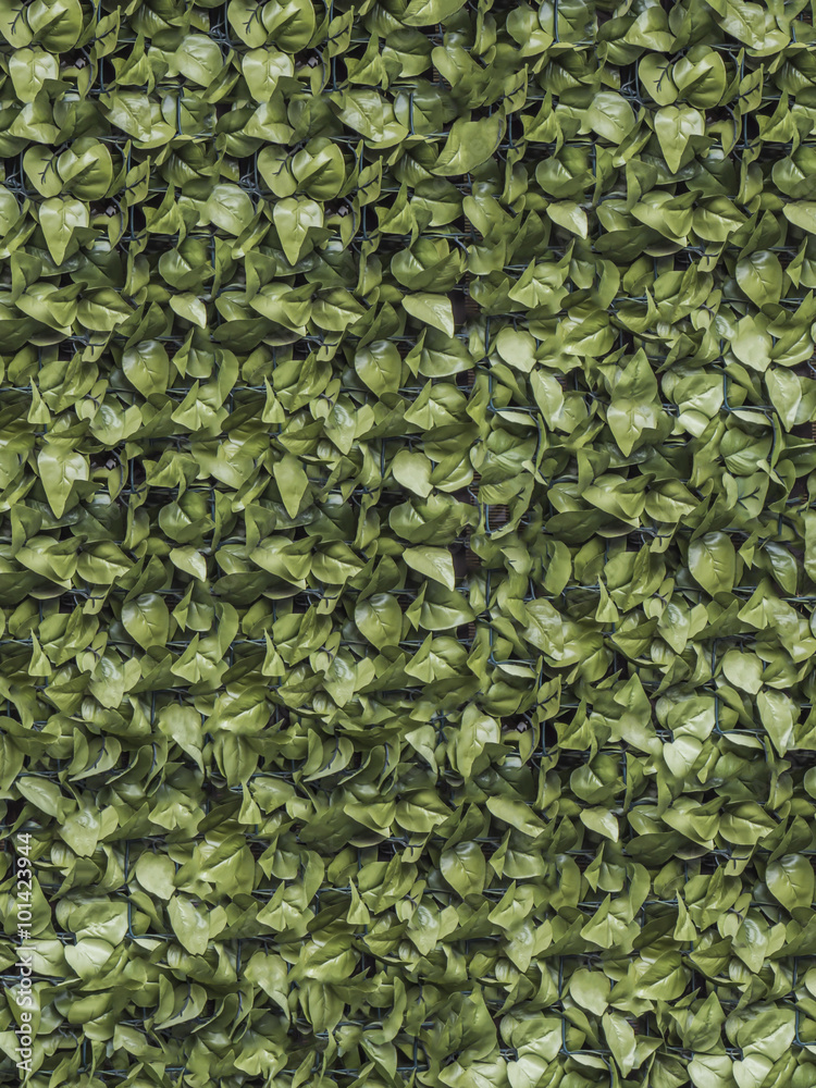 葉っぱ 背景素材 Stock Photo Adobe Stock