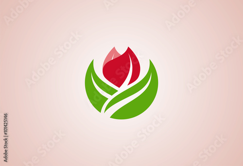 Flower Logo Vector