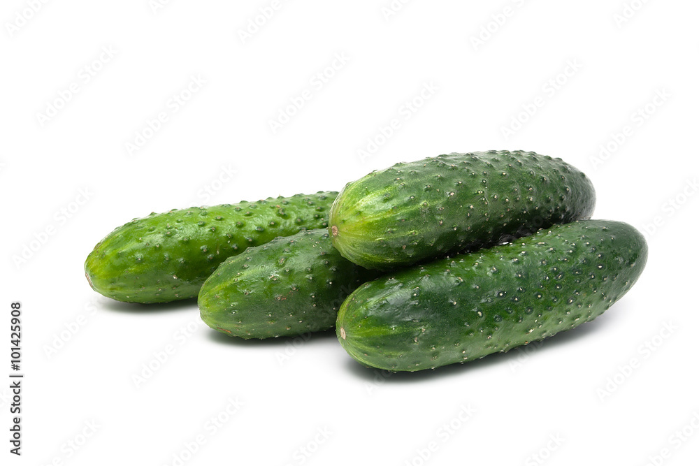 ripe cucumber closeup on a white background ripe cucumber closeup on a white background