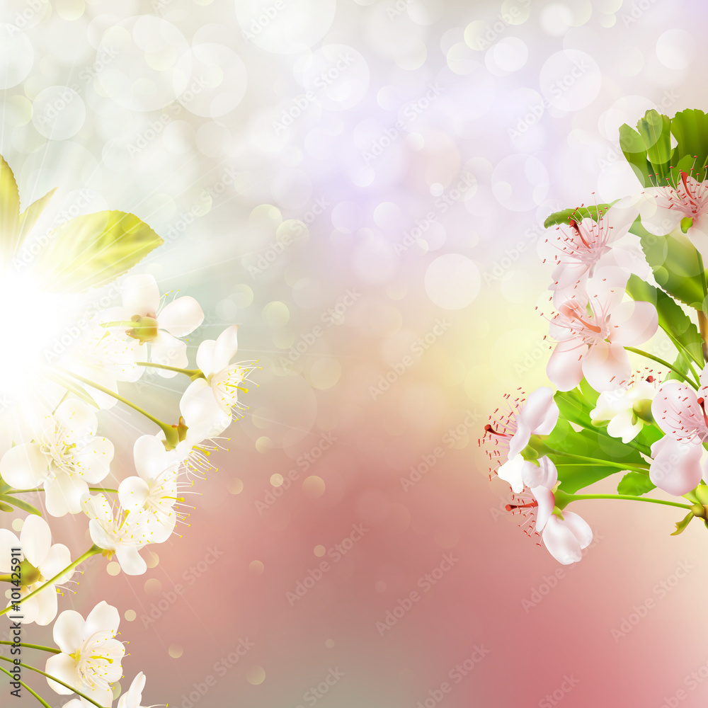 Fotografie Blooming apple tree against the sky. EPS 10