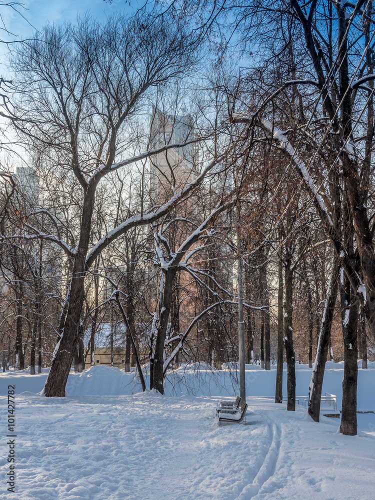 Park in the snow in Moscow - 4