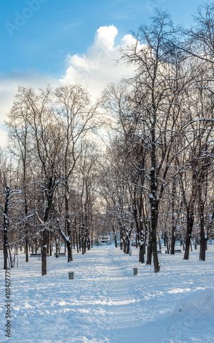 Park in the snow in Moscow - 3