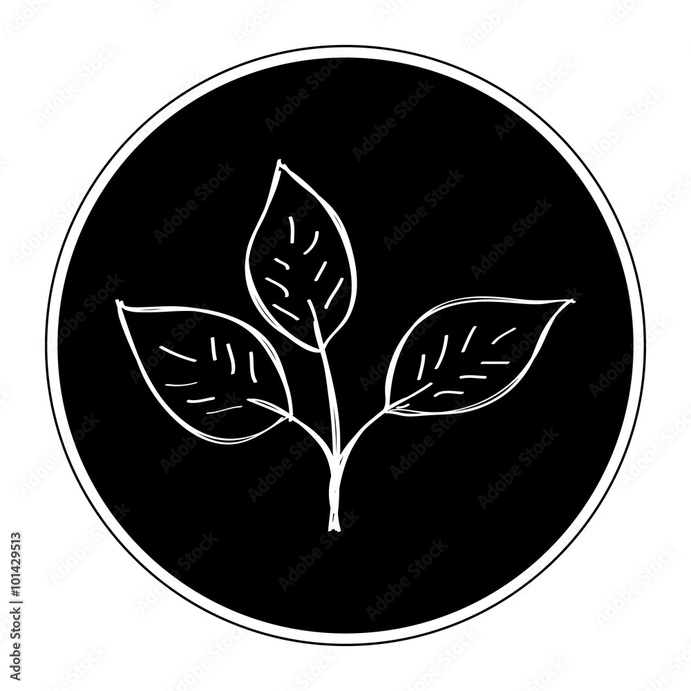 Simple doodle of a leaf Simple doodle of a leaf