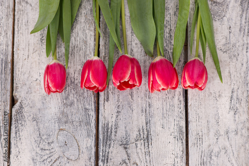 flowers, gift, tulips, background photo