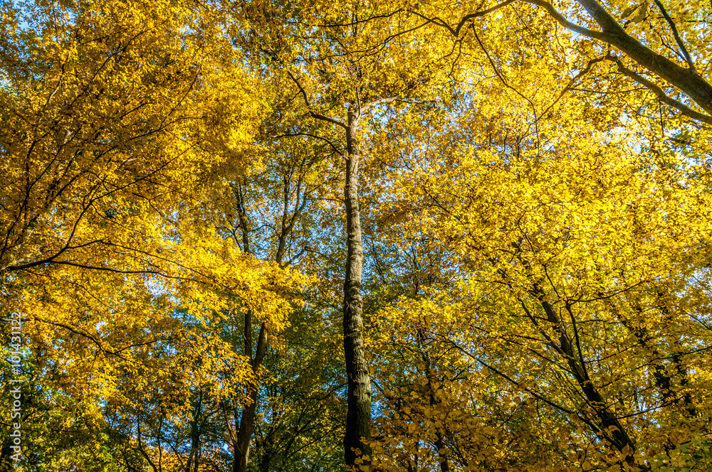 Herbst 10 Herbst 10