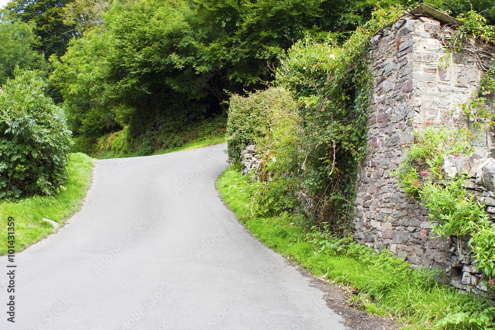 English Country Lane in Devon English Country Lane in Devon
