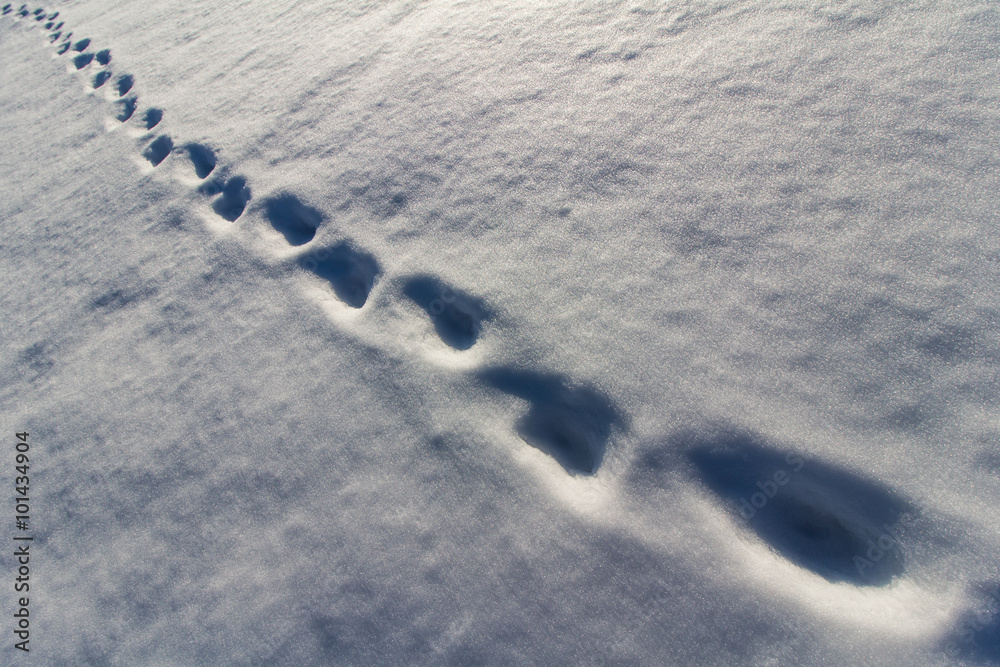 Fußspuren im Schnee Fußspuren im Schnee