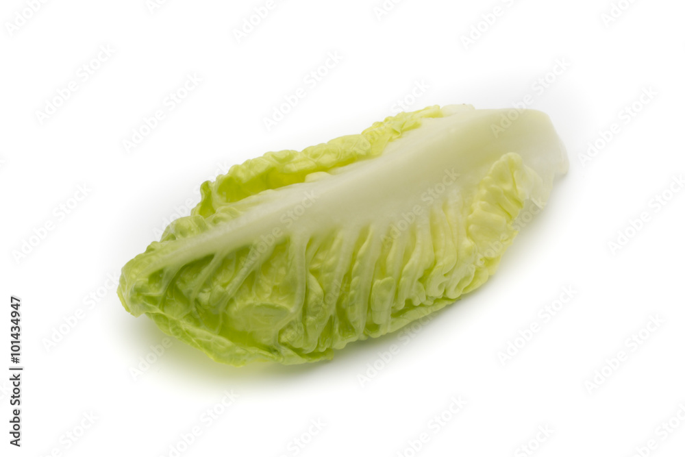 Salad n the isolated white background. Salad n the isolated white background.