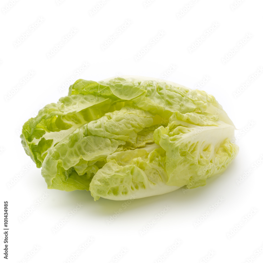 Salad n the isolated white background. Salad n the isolated white background.