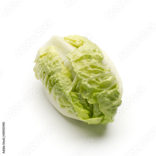 Salad n the isolated white background.
