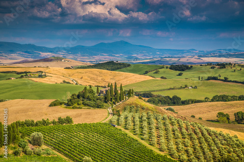 Scenic Tuscany landscape at sunset, Val d'Orcia, Italy
