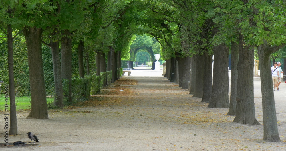 Castle gardens alley around the Schonbrunn Palace in Vienna, Austria. Castle gardens alley around the Schonbrunn Palace in Vienna, Austria.