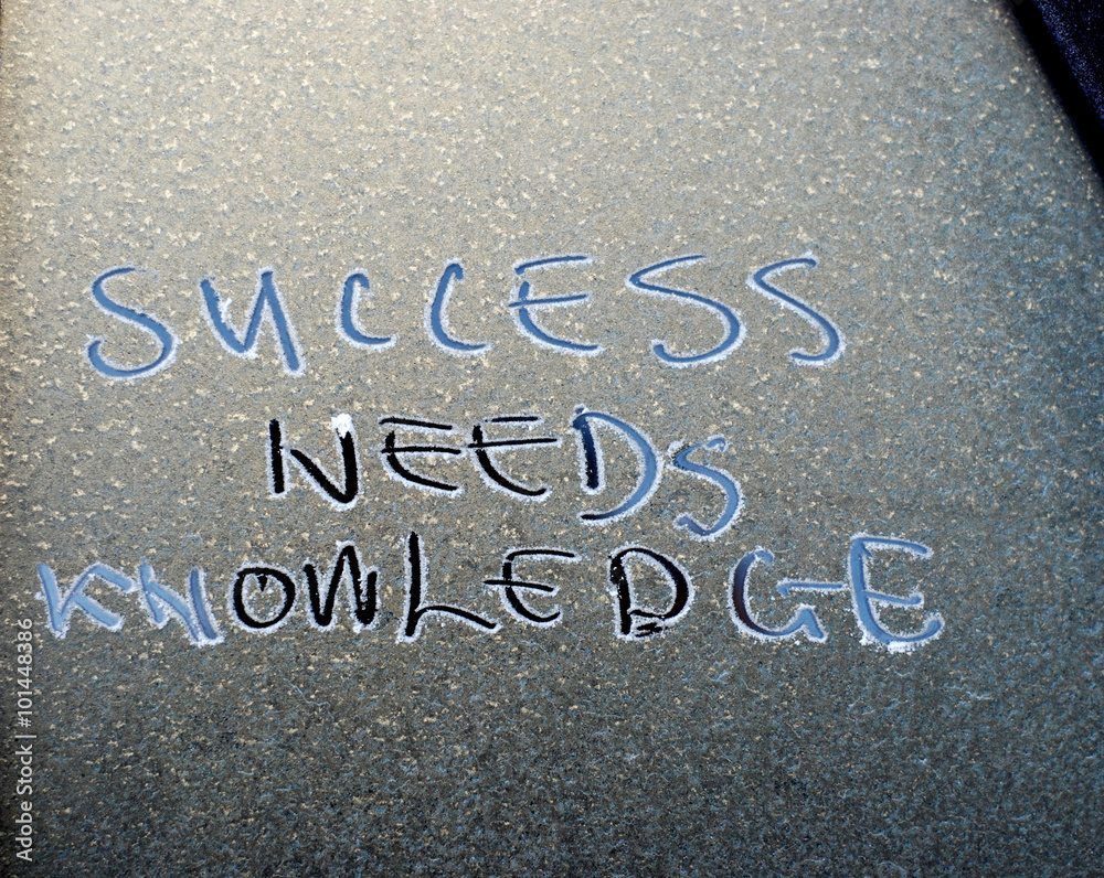 Fototapeta premium success concept