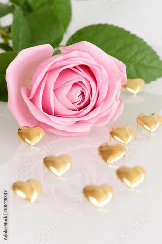 Pink rose and gold hearts - series of pink flowers