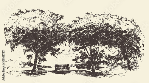 Beautiful romantic tree bench drawn vector sketch