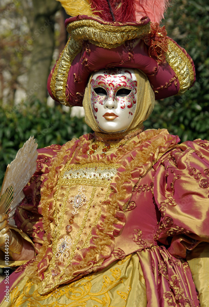 Costume et masque du carnaval de venise Costume et masque du carnaval de venise