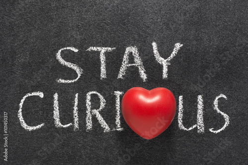 stay curious heart photo