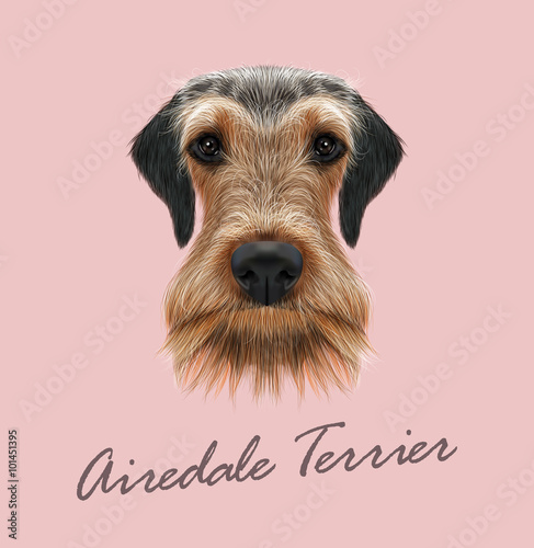 Airedale Terrier Dog Portrait. 