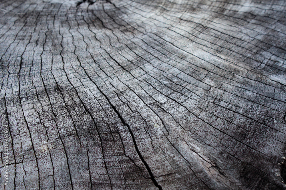 Fototapeta premium Old wood background